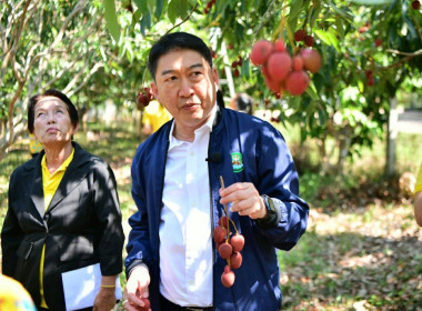 อธิบดีกรมส่งเสริมสหกรณ์ ลงพื้นที่เยี่ยมชมแปลงลิ้นจี่ ... พารามิเตอร์รูปภาพ 27